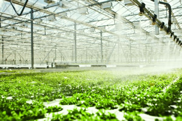 Modern Agriculture Modern Agriculture