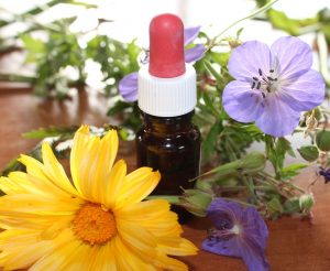 Homeopathy and Organic Treatment