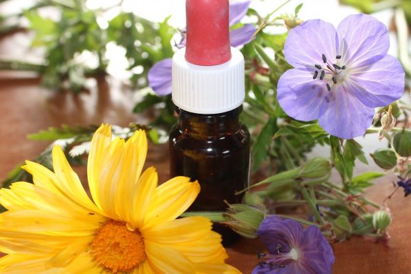 natural-medicine-1738161_1280 natural-medicine-1738161_1280