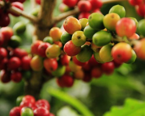 Food and Agriculture Products Food and Agriculture Products
